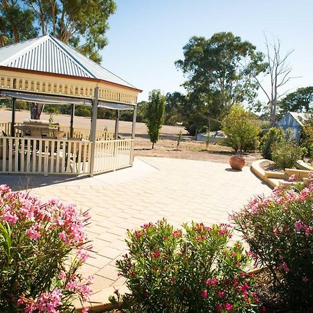 Barossa Vineyard Cottages Танунда Екстер'єр фото