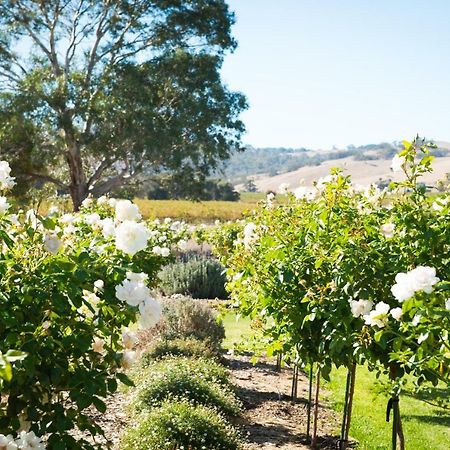 Barossa Vineyard Cottages Танунда Екстер'єр фото
