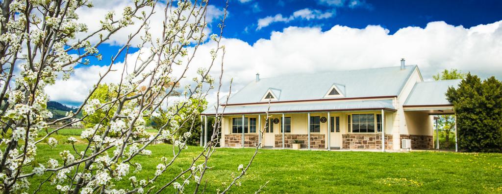 Barossa Vineyard Cottages Танунда Екстер'єр фото