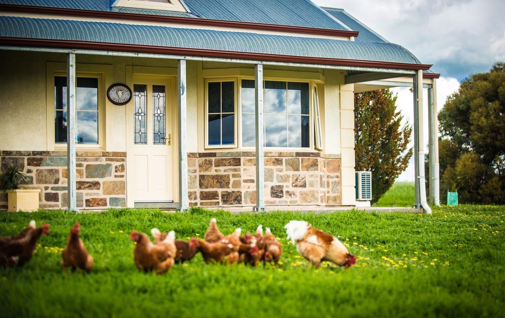 Barossa Vineyard Cottages Танунда Екстер'єр фото