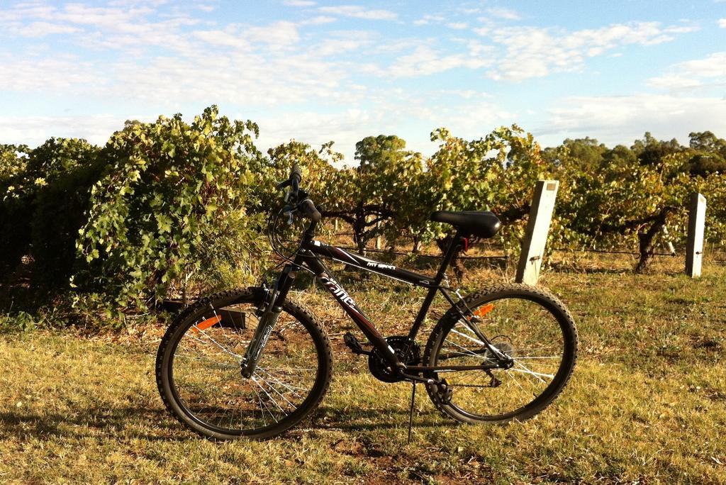Barossa Vineyard Cottages Танунда Екстер'єр фото