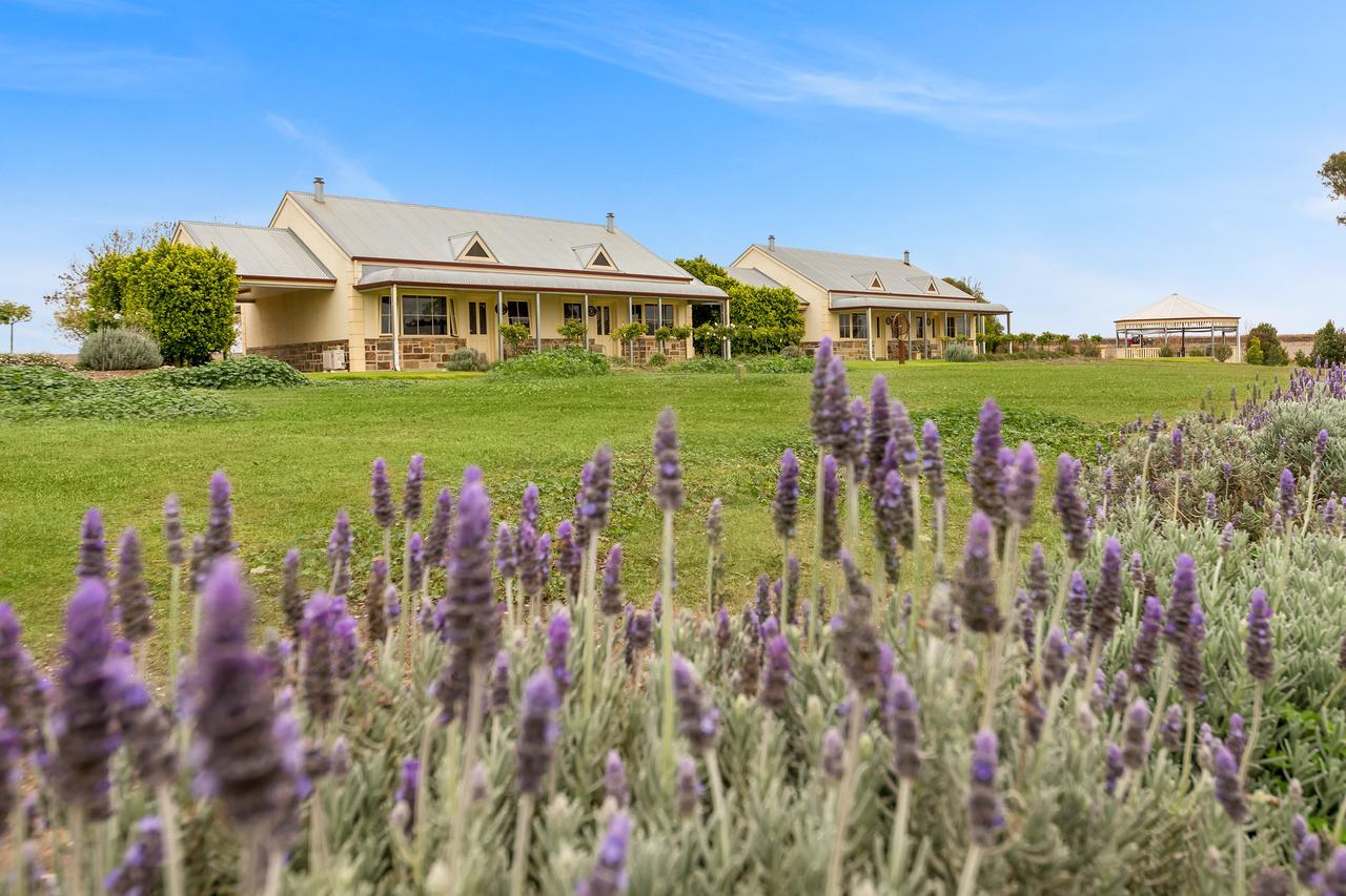 Barossa Vineyard Cottages Танунда Екстер'єр фото