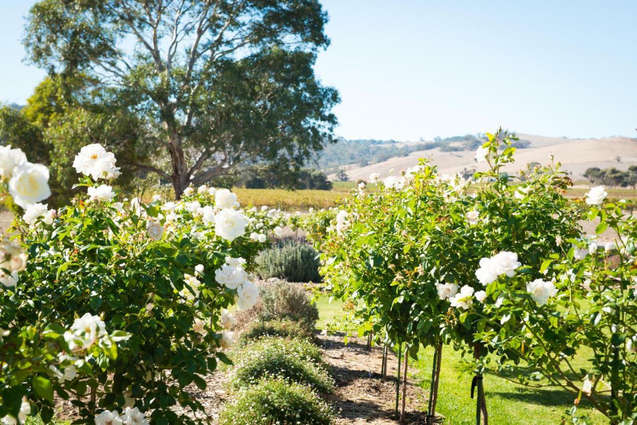 Barossa Vineyard Cottages Танунда Екстер'єр фото