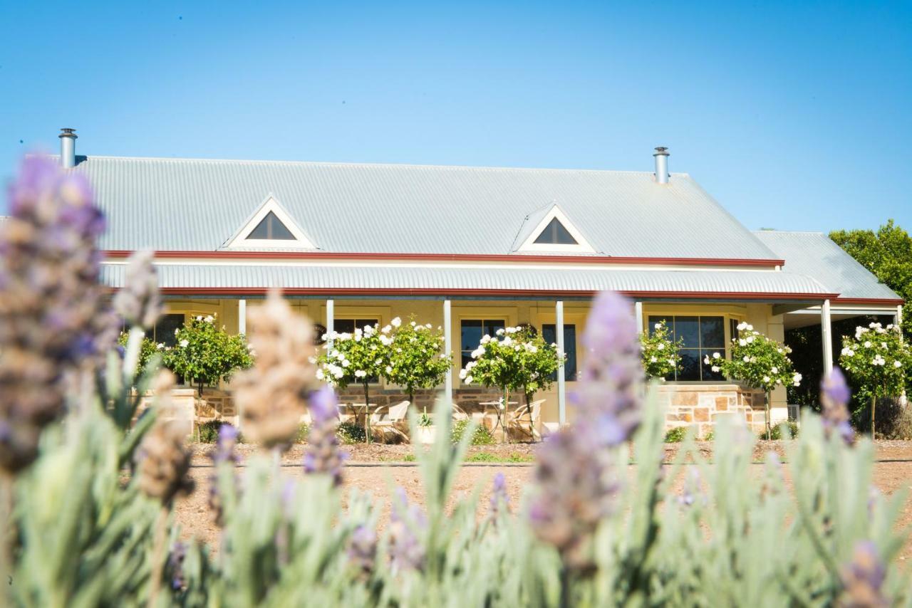 Barossa Vineyard Cottages Танунда Екстер'єр фото