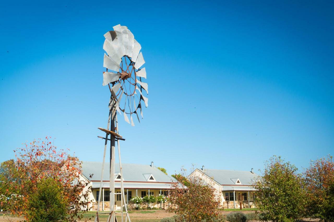 Barossa Vineyard Cottages Танунда Екстер'єр фото